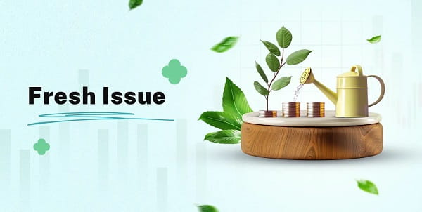 IPO Fresh Issue