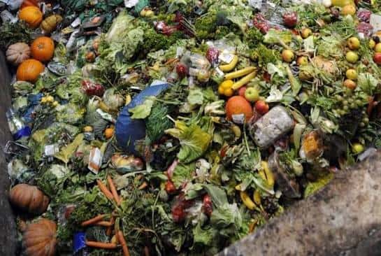 How Food Waste Impacts the Environment Globally Today